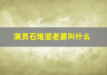 演员石维坚老婆叫什么